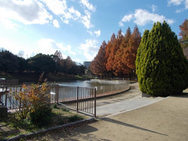 佐竹公園の画像2