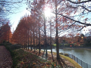 佐竹公園の画像4