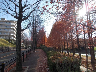 佐竹公園の画像5