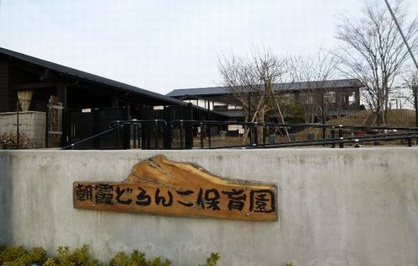 朝霞どろんこ保育園の画像1