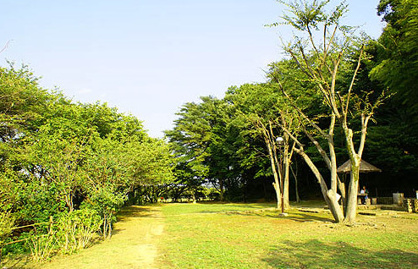  見沼通船堀公園の画像1