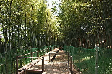  見沼通船堀公園の画像2