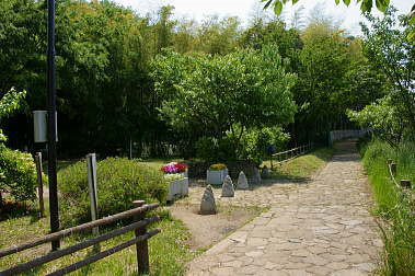 見沼通船堀公園の画像3
