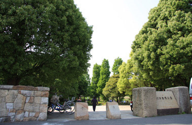 川口自然公園の画像1