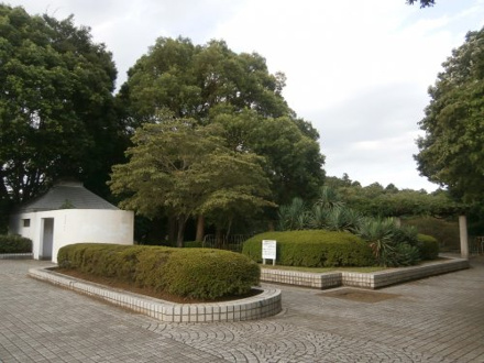  南志津公園
