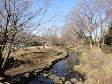 井の頭恩賜公園の画像1