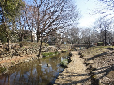 井の頭恩賜公園の画像2