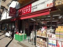 ｍｉｎｉピアゴ 豊島雑司が谷２丁目店