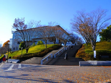 大妻女子大学 多摩キャンパス情報ページ 東中野駅の仲介手数料最大無料の賃貸 売買ならイデシア