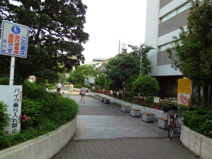 区立立会川公園