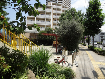 区立森前公園の画像1