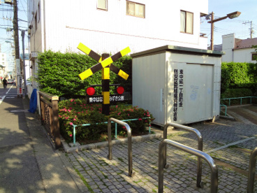 品川区立東中はなみずき公園の画像1