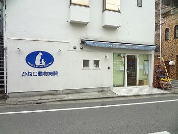 かねこ動物病院の画像1