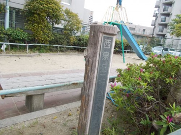 西泉丘2丁目第1公園の画像2
