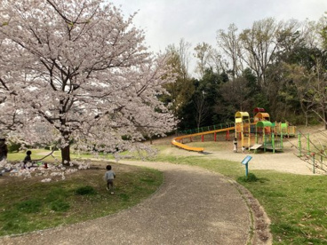 あさぎ里山公園の画像2
