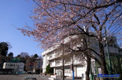 横浜市立　宮谷小学校の画像1