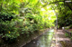 等々力渓谷公園の画像