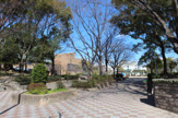 豊島野公園