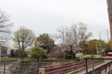 箕面西公園