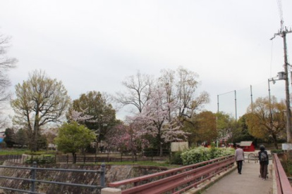 箕面西公園の画像2