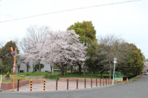 西脇公園