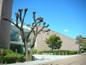 インスタントラーメン発明記念館の画像1