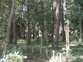 その他 宮沢ふれあい樹林