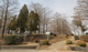 天満大池公園の画像