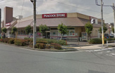  ピーコックストア上池台店