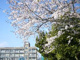 姫路市立　城西小学校の画像