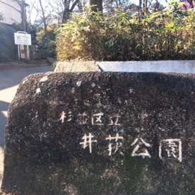 杉並区立 井草公園の画像2