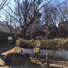 杉並区立 井草公園の画像3