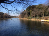公園 善福寺公園