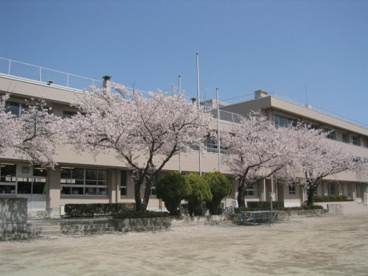 甲府市立舞鶴小学校の画像2