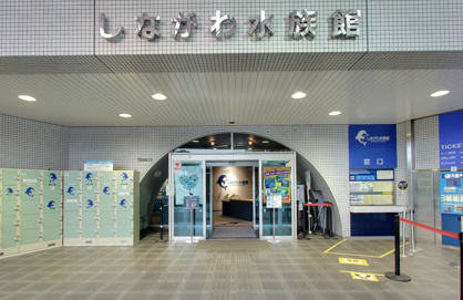 しながわ水族館の画像1