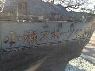 小瀬スポーツ公園の画像4