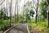 和泉町作右衛門公園