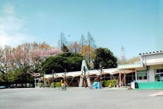 富士塚幼稚園 