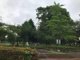 吉羽公園（久喜市吉羽１丁目）の画像