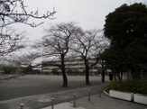 府中市立小柳小学校