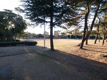 真砂公園の画像3