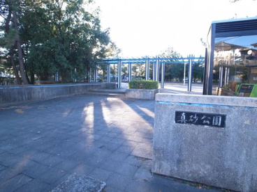 真砂公園の画像5