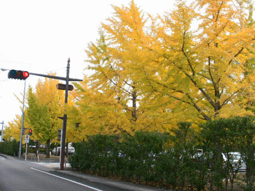 山梨県立美術館の画像5