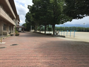 甲府市立大国小学校の画像4