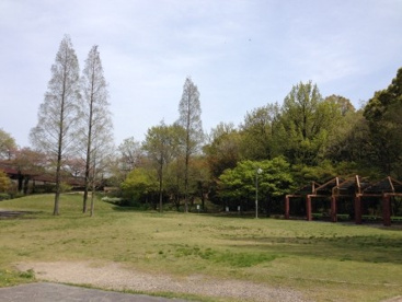 茶屋ケ坂公園の画像1