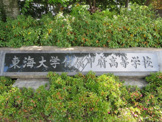 東海大学付属甲府高等学校
