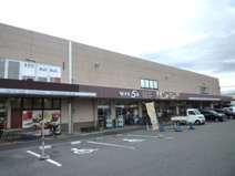 ショップ５条