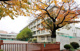 石神井東中学校の画像