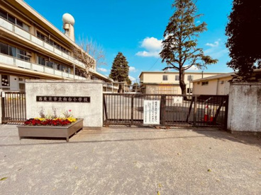 西東京市立向台小学校の画像1