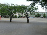 町田市立　町田第六小学校